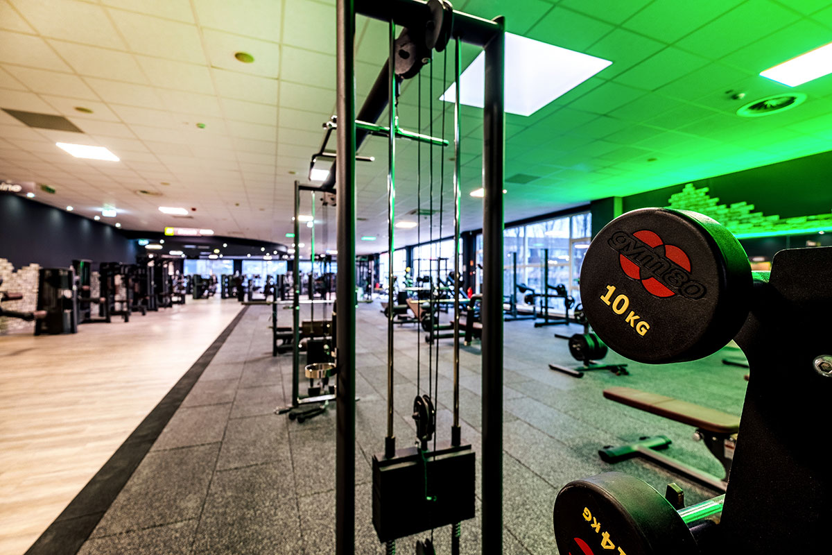 Muskelaufbau Bodyshaping Ai Fitness aifitness.de